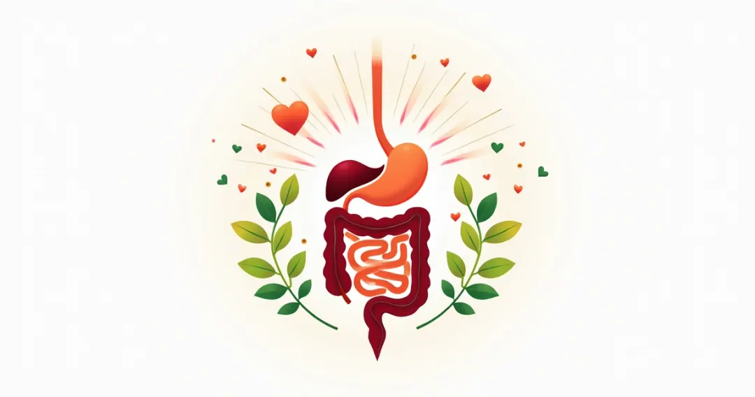 Ilustração do intestino humano com símbolos de saúde e energia